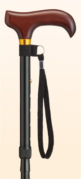 D-1B　愛杖 Dシリーズ