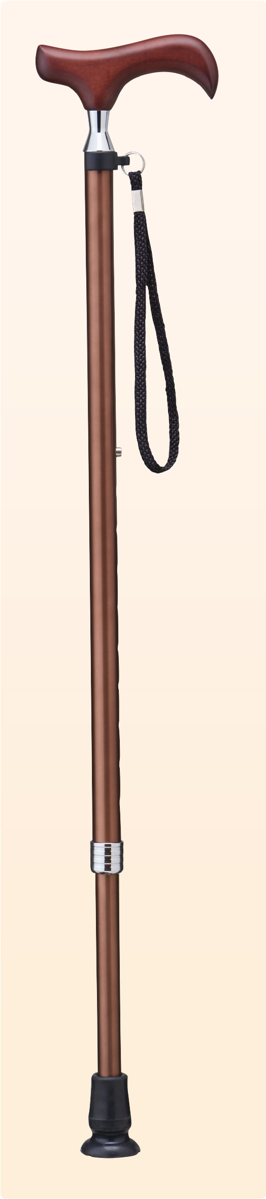 E-202A　愛杖 Eシリーズ